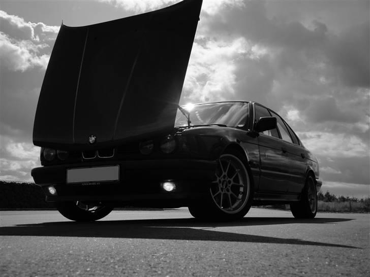 BMW 525i E34 (SOLGT) billede 15