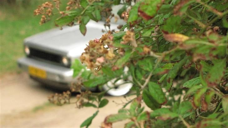 VW Caddy 1  [Solgt] billede 3