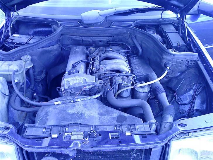 Mercedes Benz W124 200D *SOLGT* billede 6