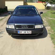 Audi 80 SOLGT