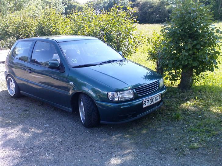 VW polo 6n billede 1