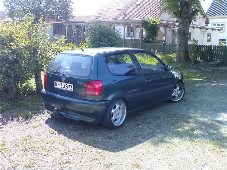 VW polo 6n billede 2