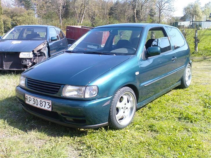 VW polo 6n billede 8