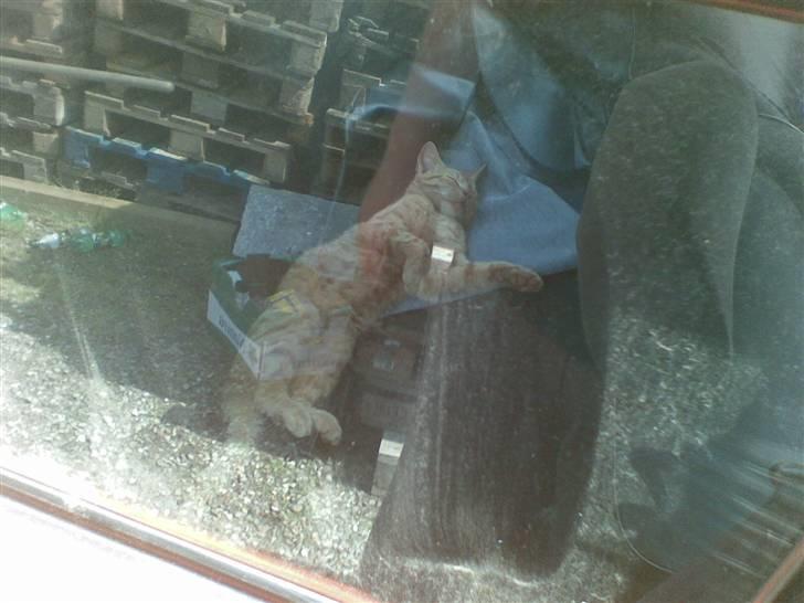 Fiat 127 Smalle Berta SOLGT - Lidt ekstra udstyr når man bygger anlæg i bilen. Den skulle lige have en morfar! LOL billede 8