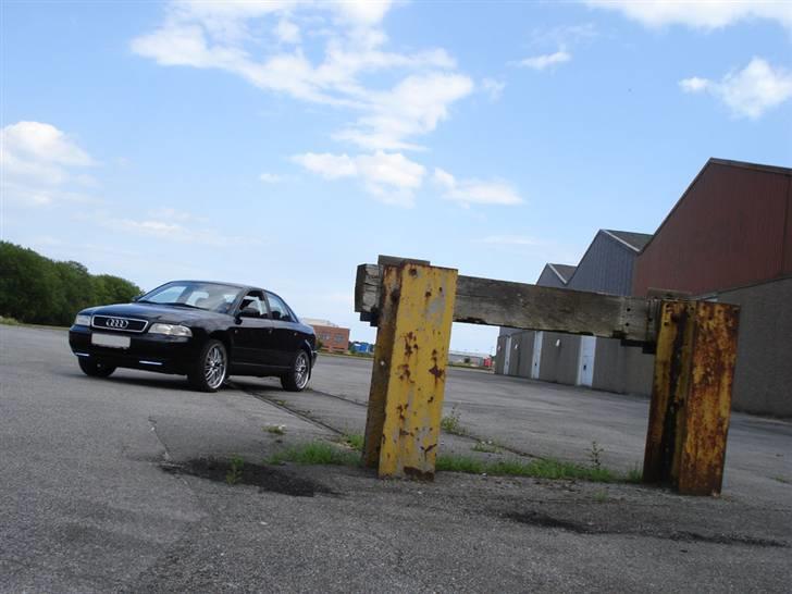 Audi A4 B5 billede 1