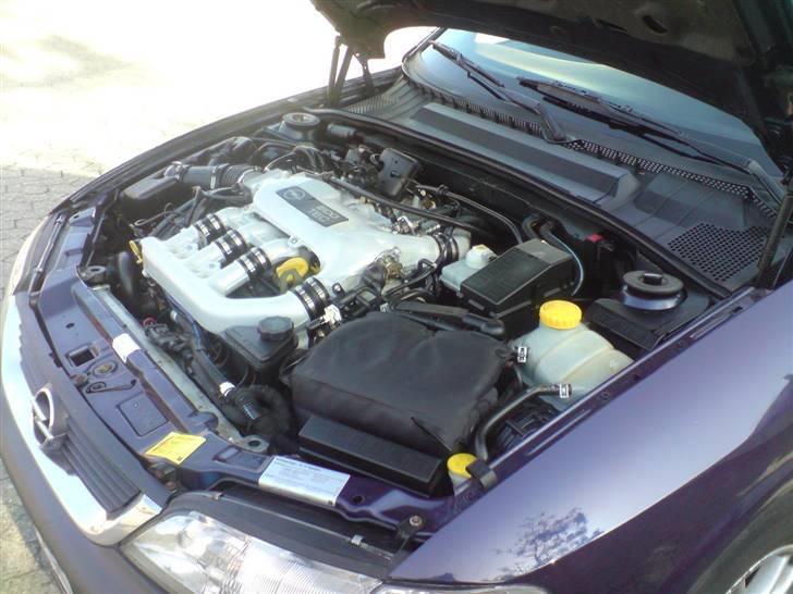Opel Vectra B 2,5 V6 - Godt jeg ikke skal ned og rode ret tit i det motorrum billede 6