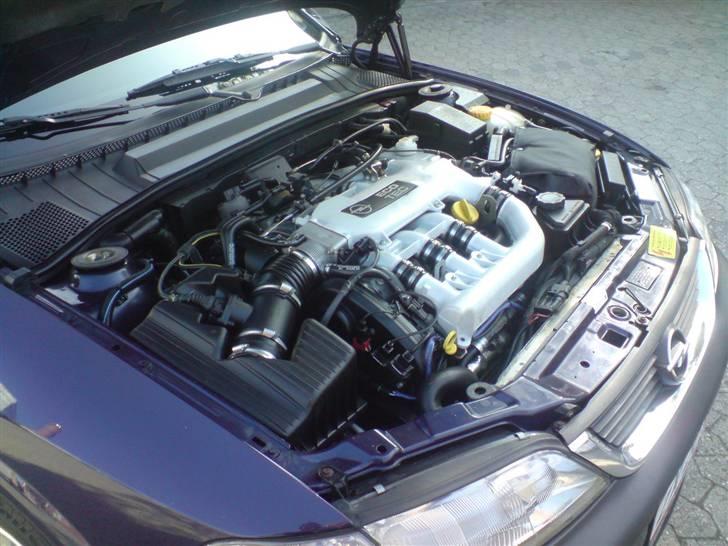 Opel Vectra B 2,5 V6 - Ingen plads til ekstra ting er der nok af ;) billede 7