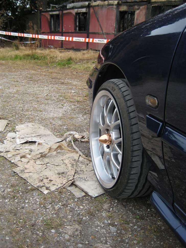 Opel calibra billede 13