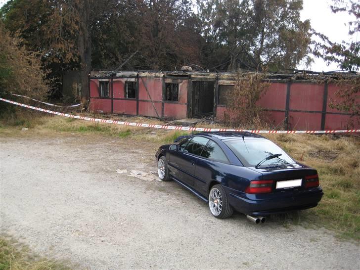 Opel calibra billede 14