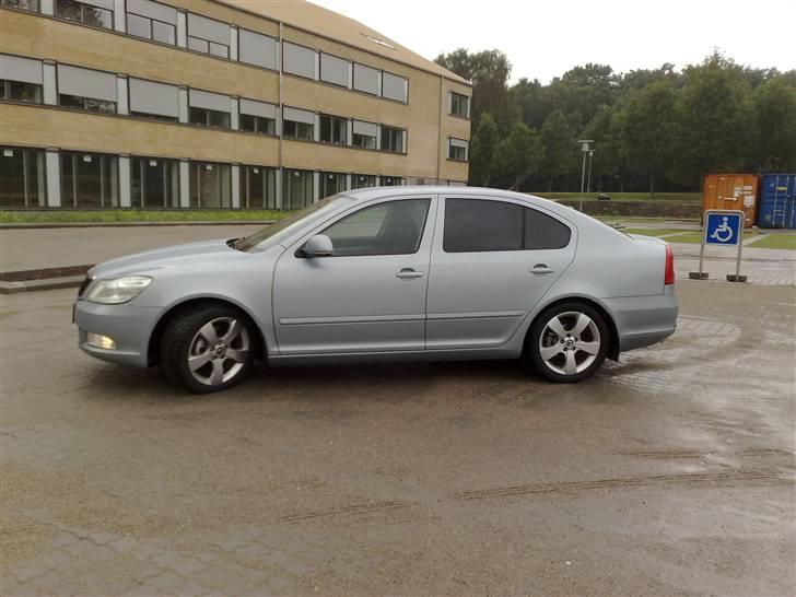 Skoda octavia billede 1