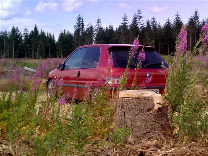 Peugeot 106 XS Solgt billede 10