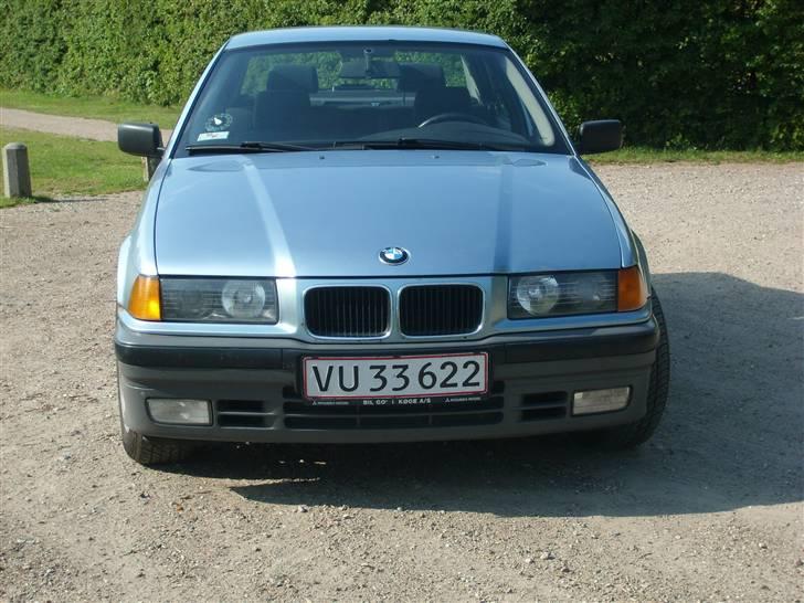 BMW E 36 billede 4
