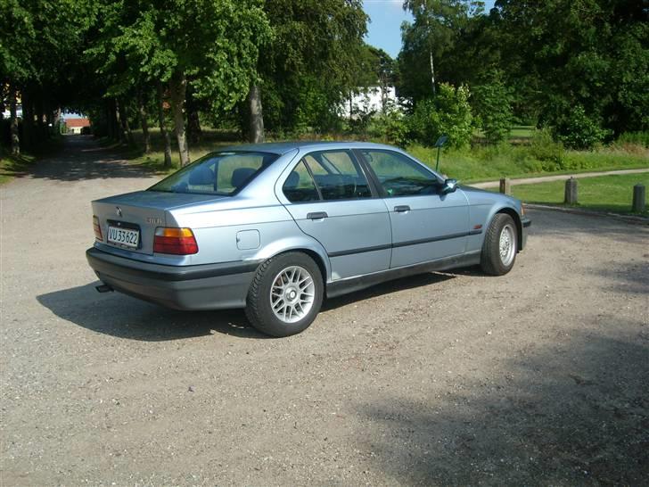 BMW E 36 billede 5