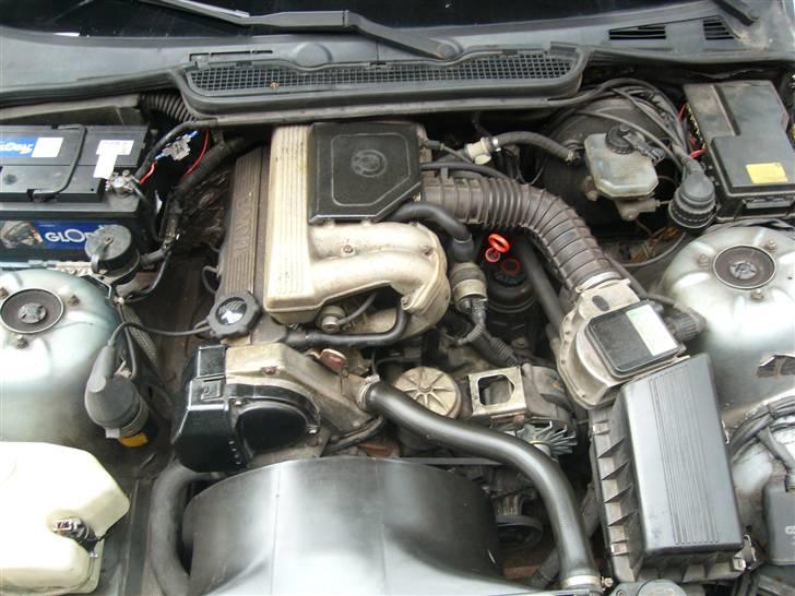 BMW E 36 billede 11