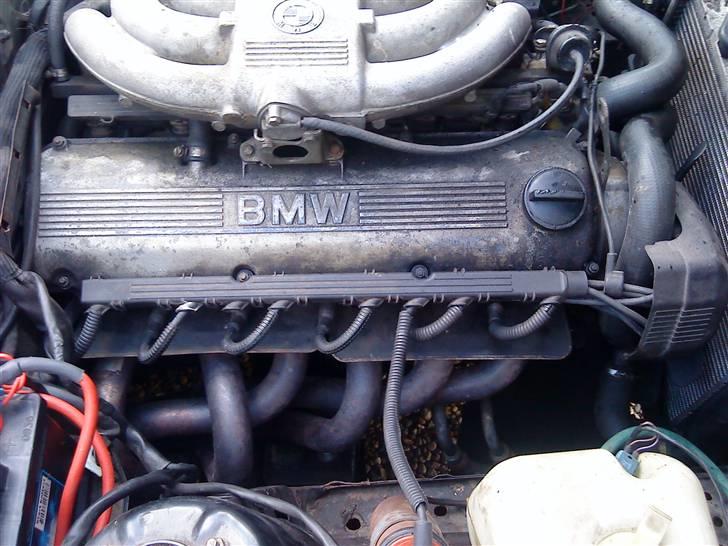 BMW e30 325 Touring (Solgt) billede 11