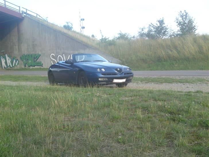 Alfa Romeo Spider   P1  billede 7