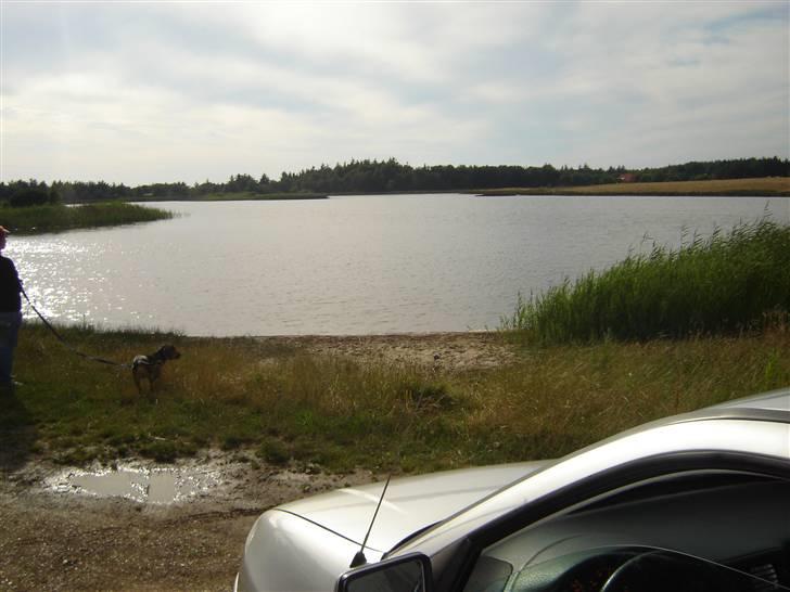 Seat cordoba 1,8 glx skrottet billede 14