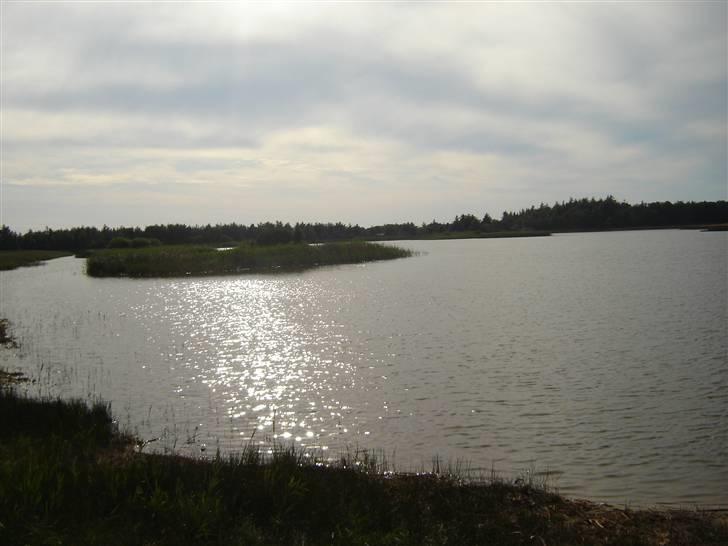 Seat cordoba 1,8 glx skrottet billede 15