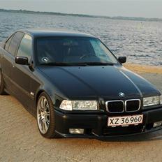 BMW 323