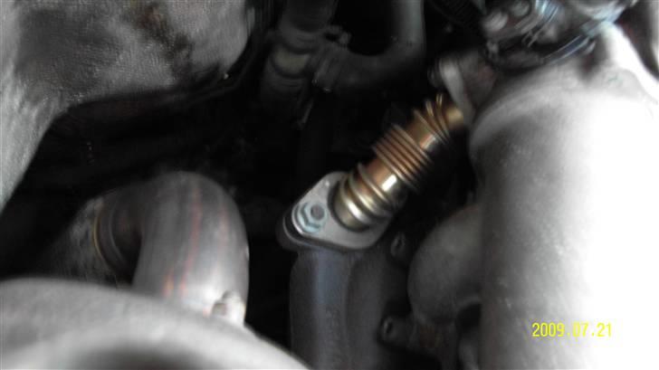 VW caravelle billede 11