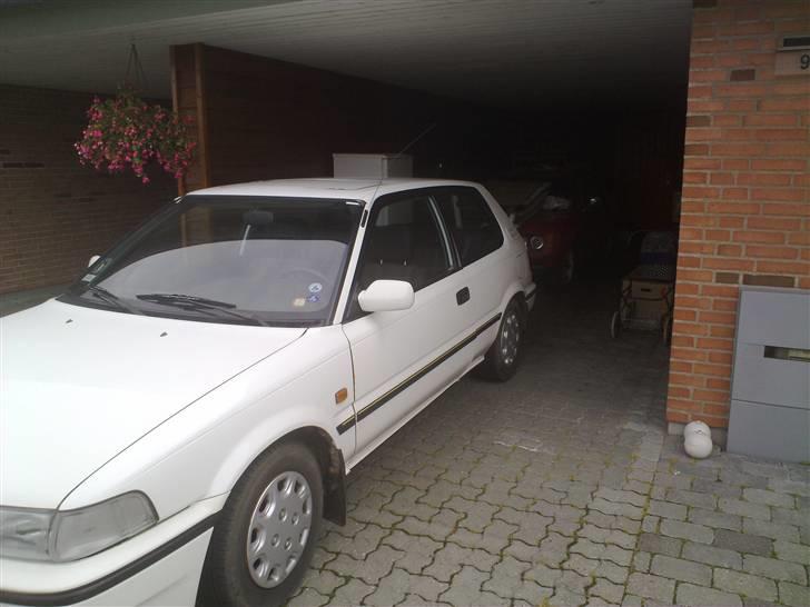 Toyota Corolla XLi (SOLGT) - Endnu et billede af Rollo, den gode kigger, kan se Cille i baggrunden ;-) billede 12