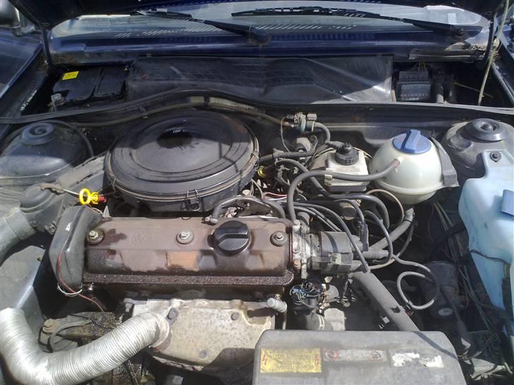 VW Polo Coupe (Skrottet) billede 11