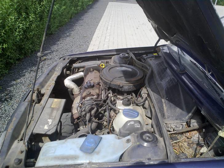 VW Polo Coupe (Skrottet) billede 14