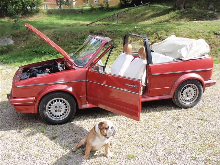 VW Golf 1 Cab billede 1