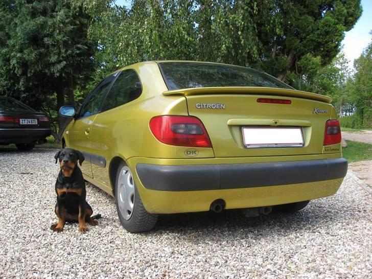 Citroën Xsara 1,8 vts **SOLGT** billede 8