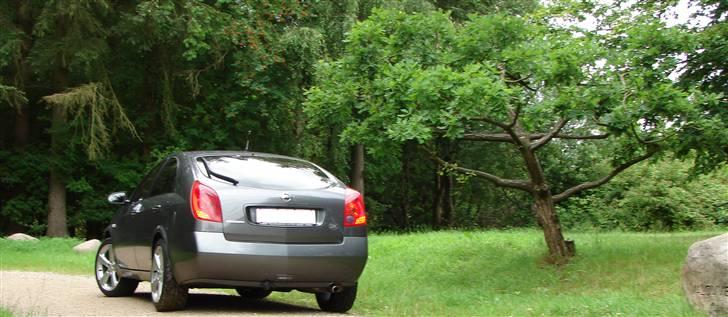 Nissan Primera P12 billede 9