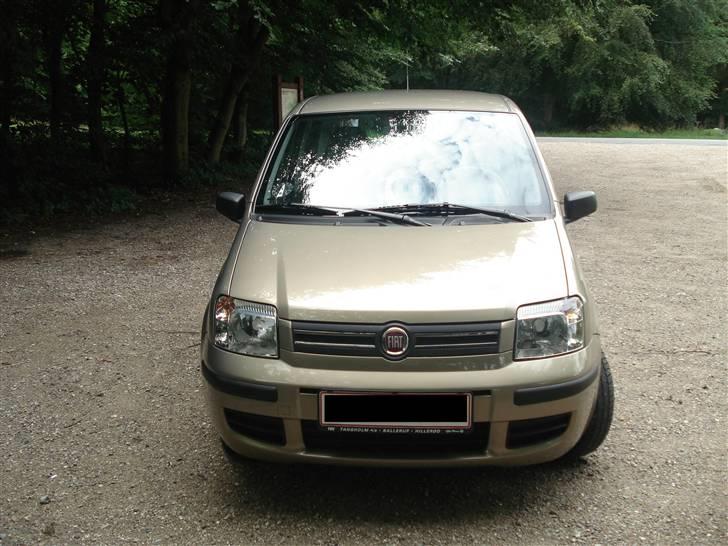 Fiat Panda billede 2