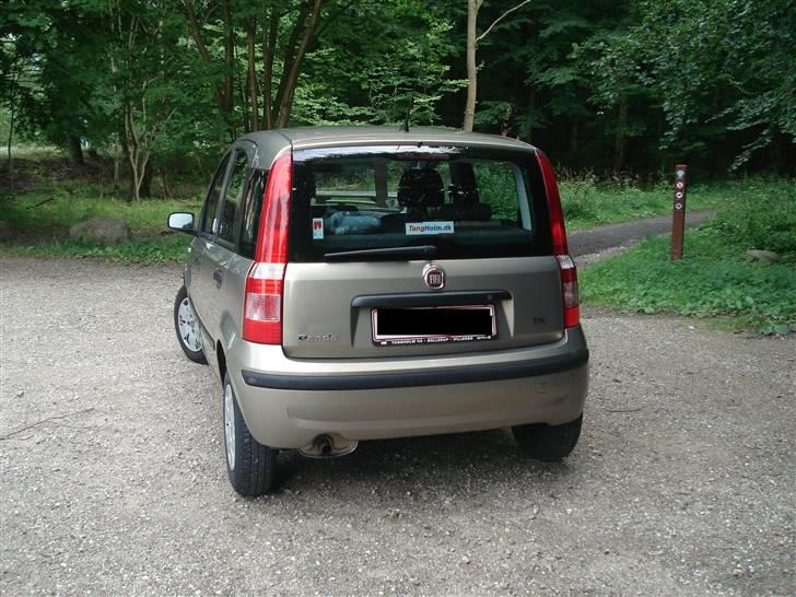 Fiat Panda billede 6