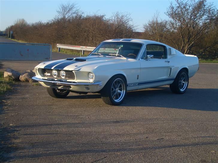 Shelby GT-350 billede 4