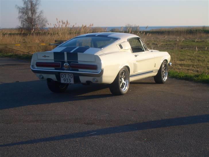 Shelby GT-350 billede 5