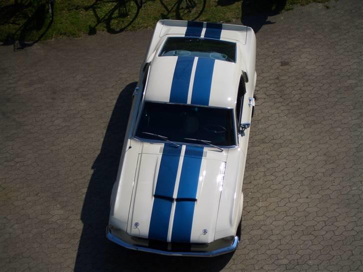 Shelby GT-350 billede 6