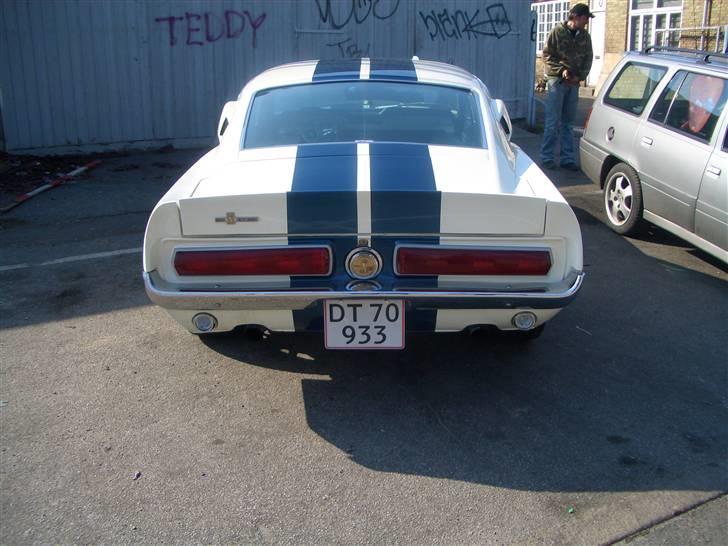 Shelby GT-350 billede 7