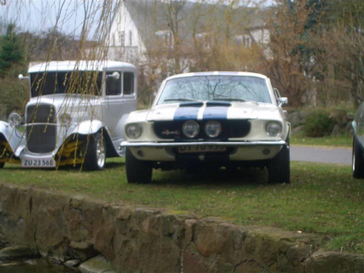 Shelby GT-350 billede 8
