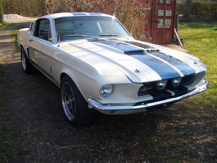 Shelby GT-350 billede 9