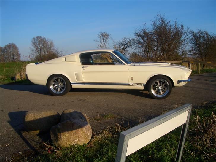 Shelby GT-350 billede 10