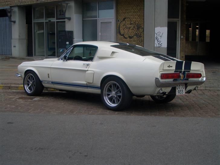 Shelby GT-350 billede 11