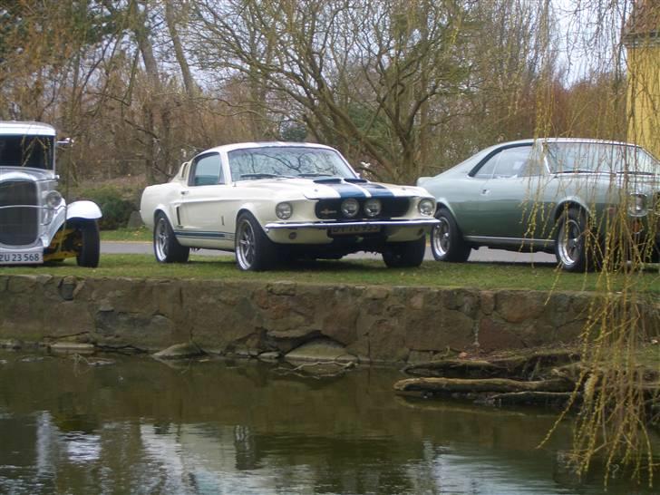 Shelby GT-350 billede 13