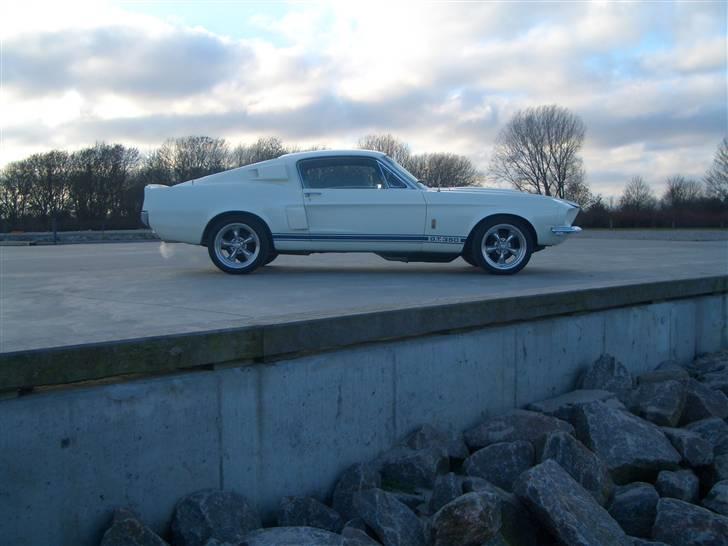 Shelby GT-350 billede 14