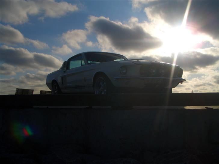 Shelby GT-350 billede 16