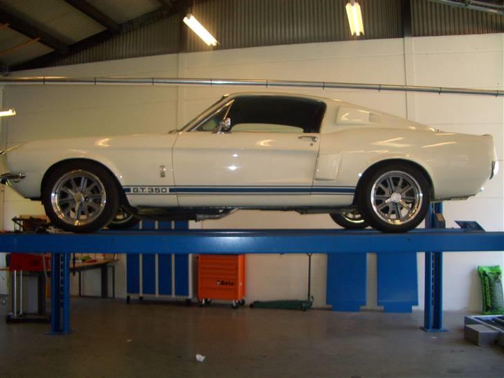 Shelby GT-350 billede 17