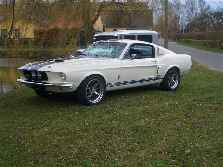 Shelby GT-350 billede 18