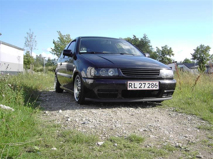 VW polo 6n billede 6