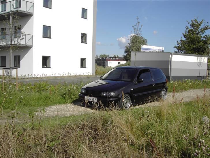 VW polo 6n billede 13