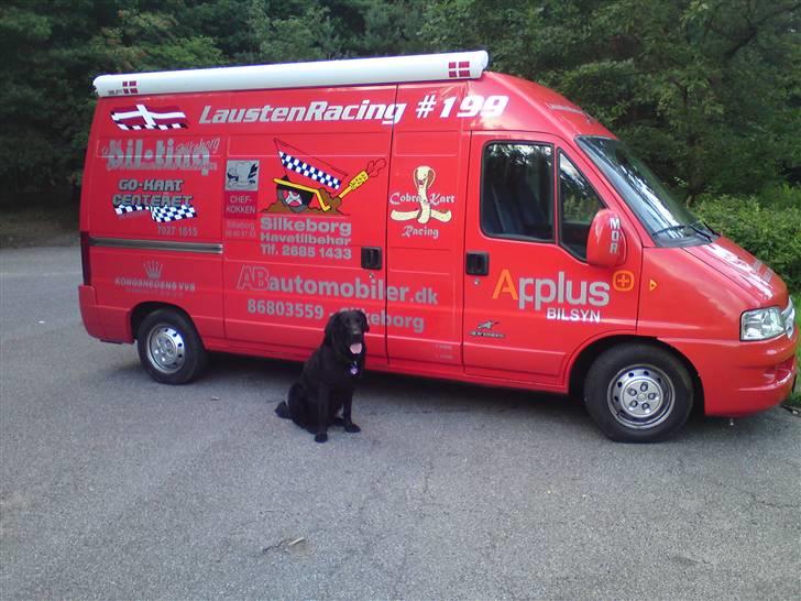 Fiat Ducato TØNDEN - Tønden og racerhund billede 3