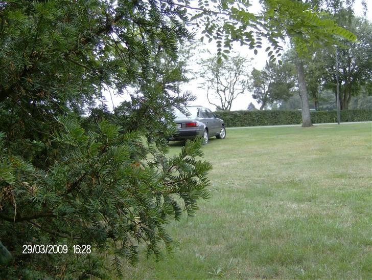 Toyota Carina II *Solgt* billede 13