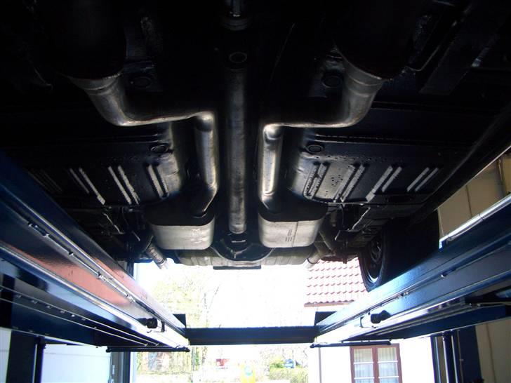 Shelby GT-350 billede 20